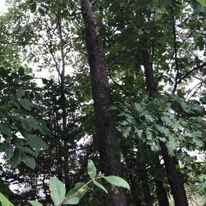 Meet your Posher, Reiko